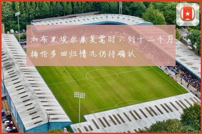 加布里埃尔康复需时六到十二个月梅伦多回归情况仍待确认