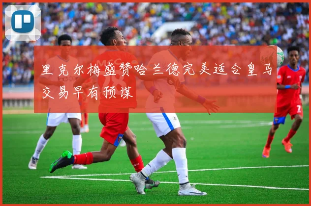 里克尔梅盛赞哈兰德完美适合皇马交易早有预谋